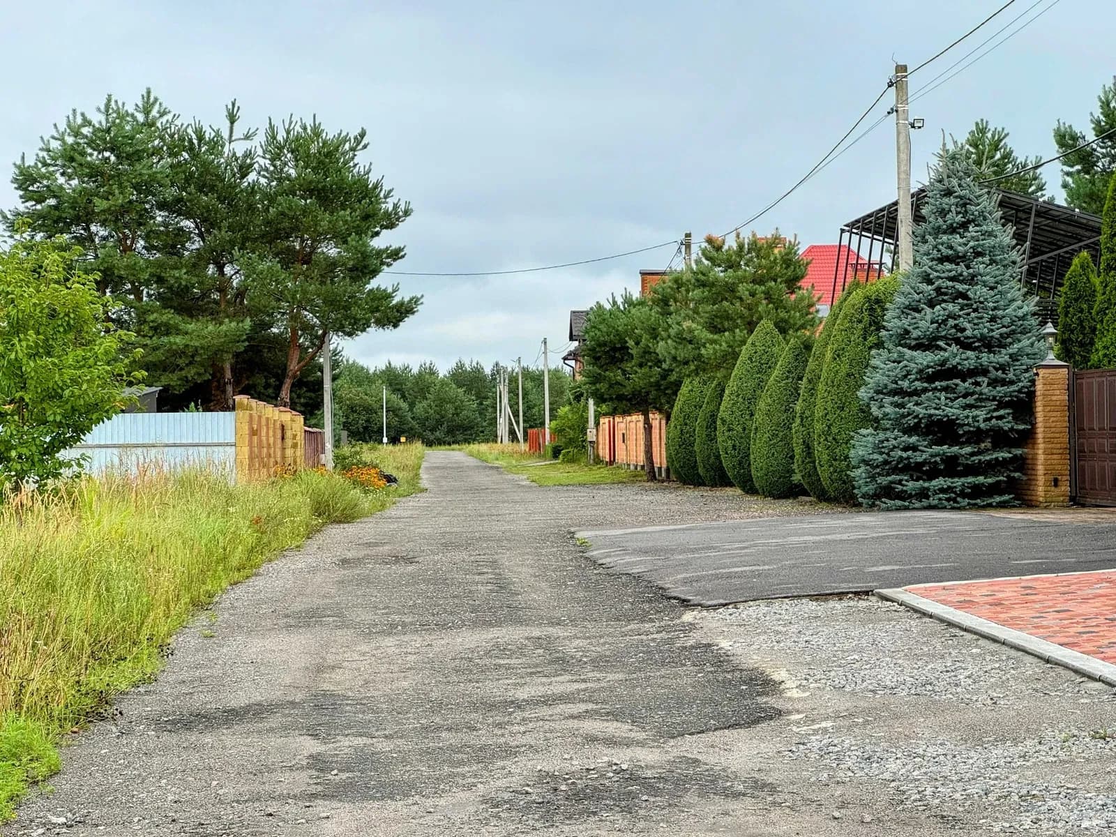 Ділянка 10 соток, Березівка: біля лісу, асфальтована дорога, газ - фото 1