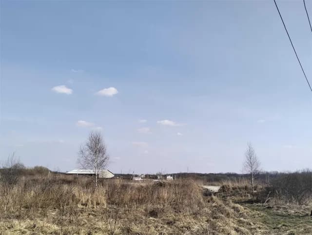 Ділянка 10 соток, Білогорща: перша лінія, заїзд, ЛЕП - фото 5