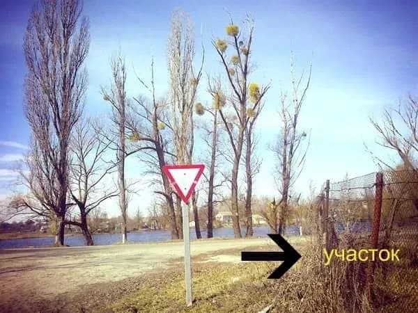 Ділянка 46 соток, Мироцьке: фундамент, вид на озеро, до 10 км від Києва - фото 1