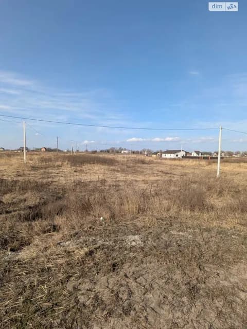 Ділянка 15 соток, Гоголів: під житлову забудову, електрика - фото 3