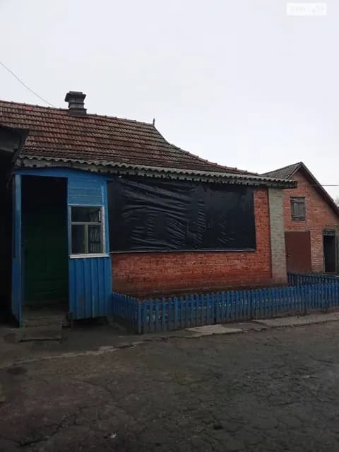 Будинок, Базилівщина: гараж, веранда, 16 соток - фото 2