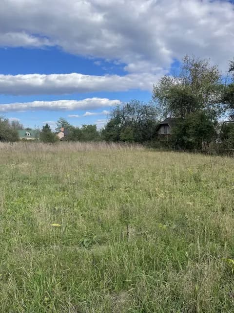 Ділянка 50 соток, Богородчани: річка, газ, асфальтована дорога - фото 3