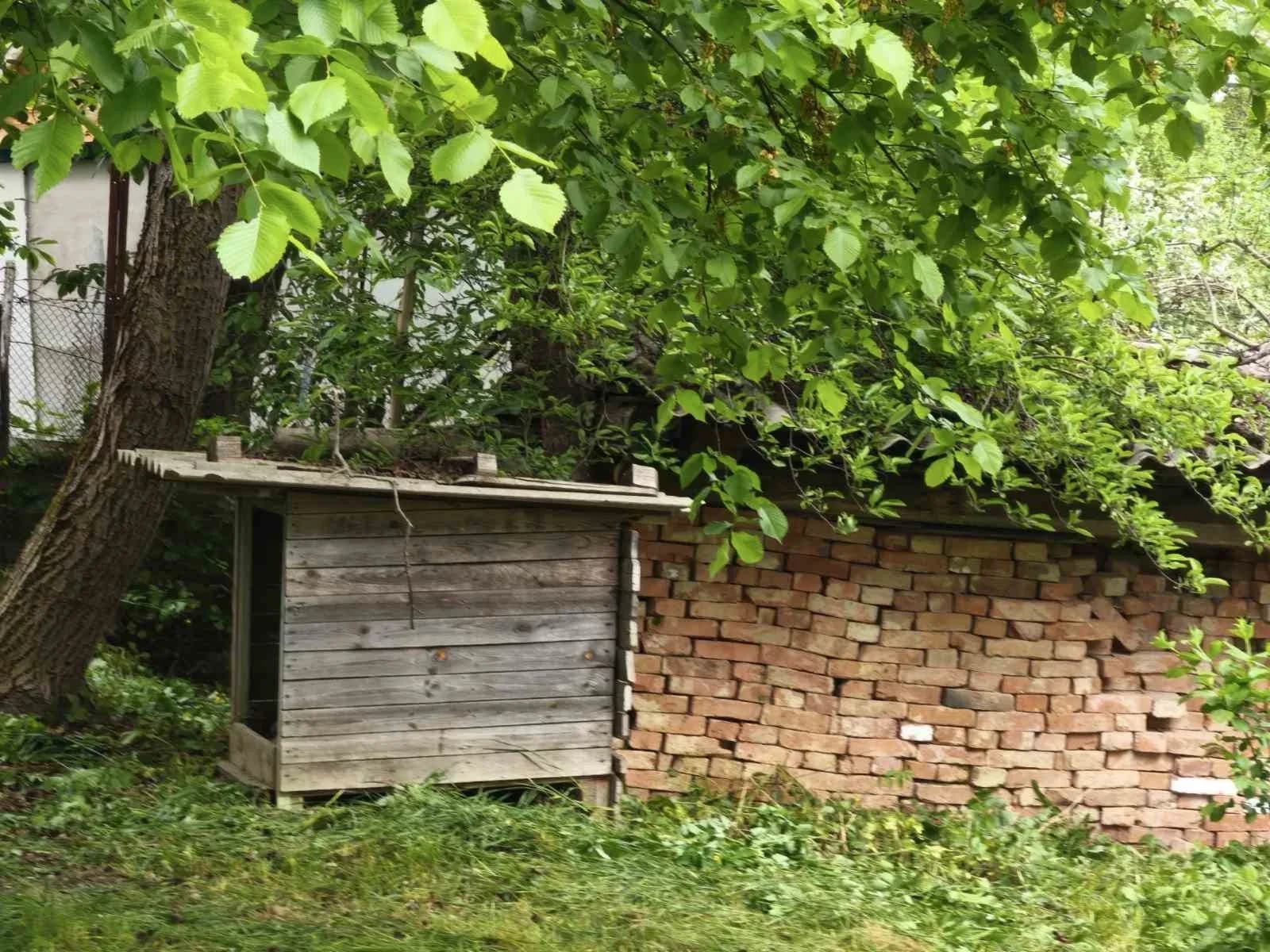 Дача, Бучми: літній будиночок, криниця з джерельною водою - фото 3