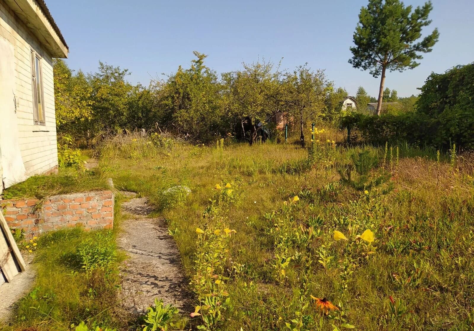 Дача, Деснянка: пічне опалення, камін, гараж із підвалом - фото 3