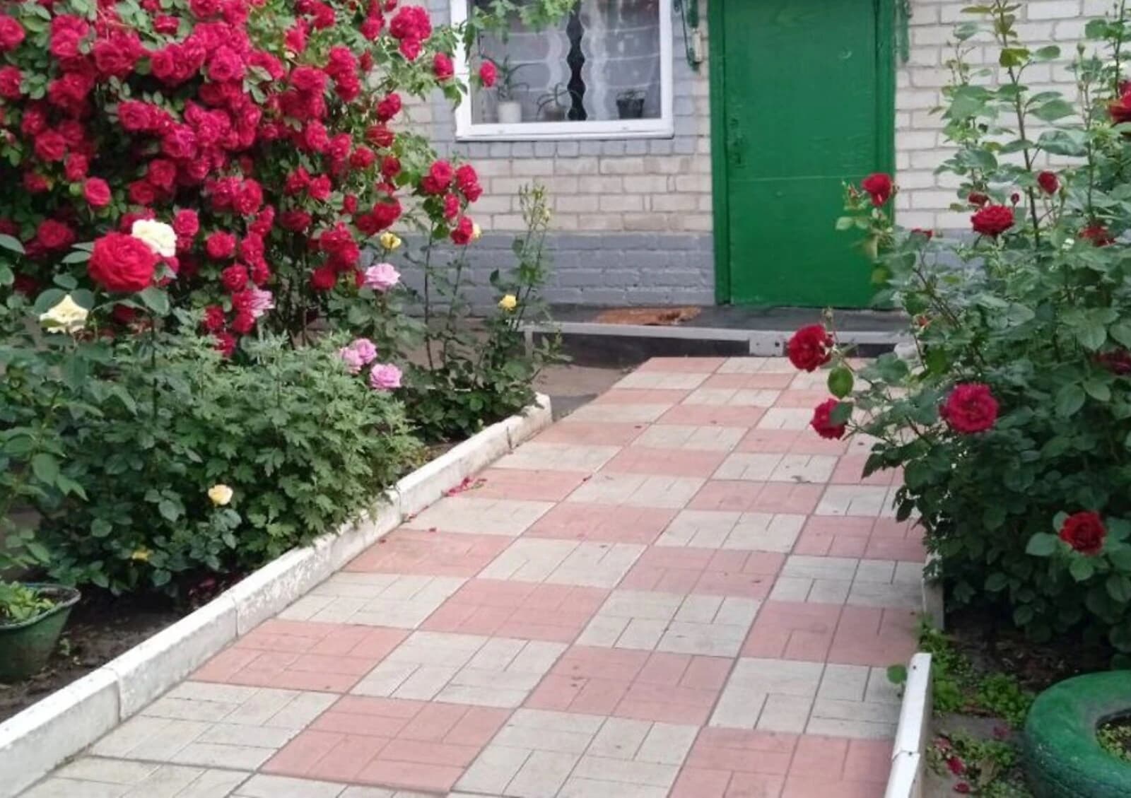 Будинок, Богуслав: гараж із підвалом, бесідка, 40 соток - фото 2