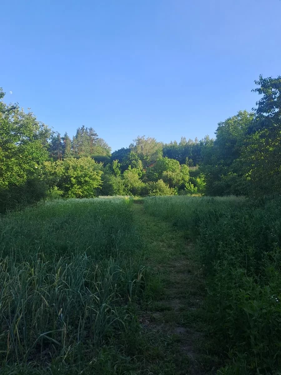 Ділянка 35 соток, Ходосівка: будинок, фруктові дерева, газ - фото 3