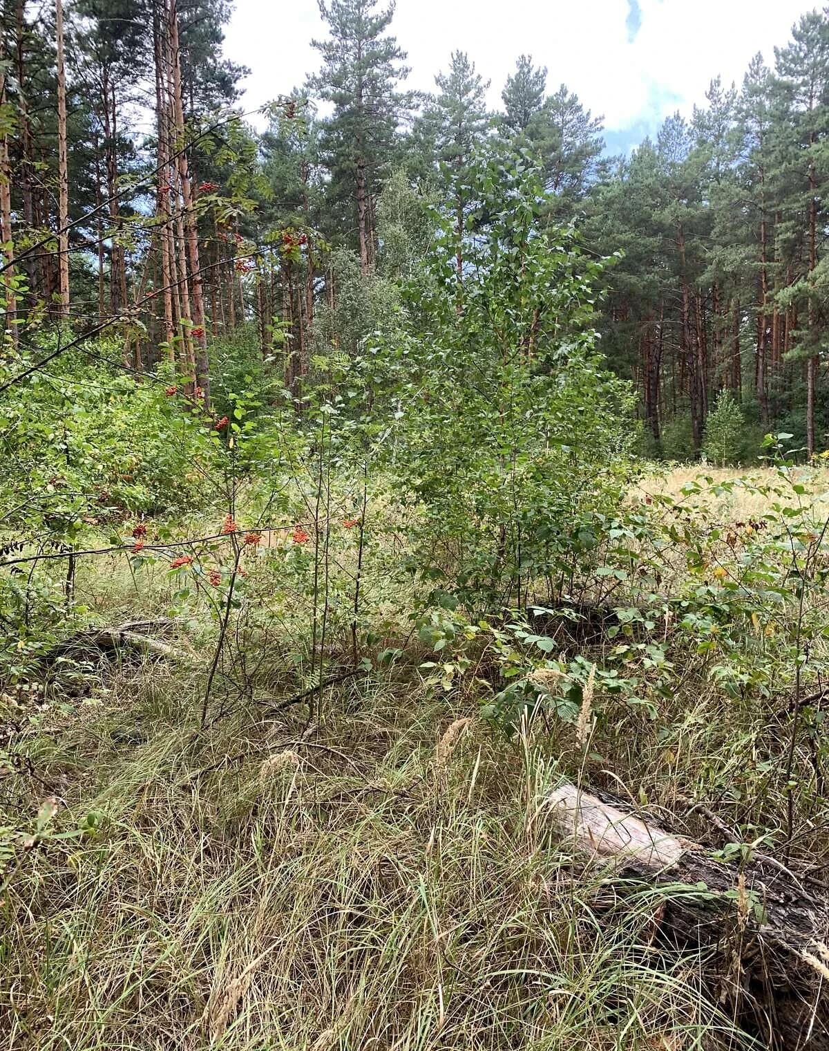 Ділянка 10 соток, Деснянський: під житлову забудову, під гараж - фото 2