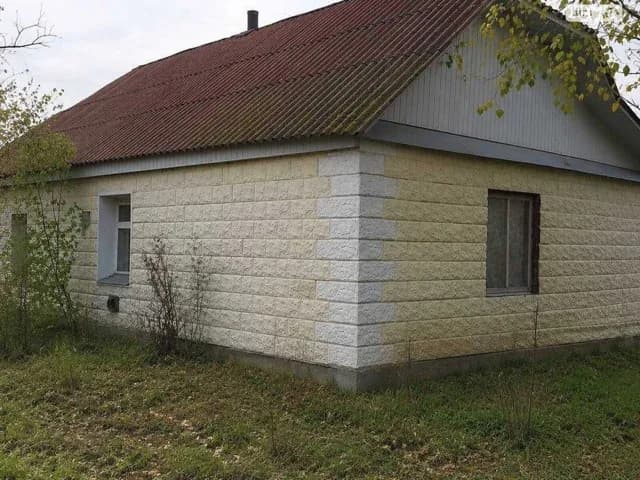 Будинок, Макарівська Буда: цегляні стіни, криниця