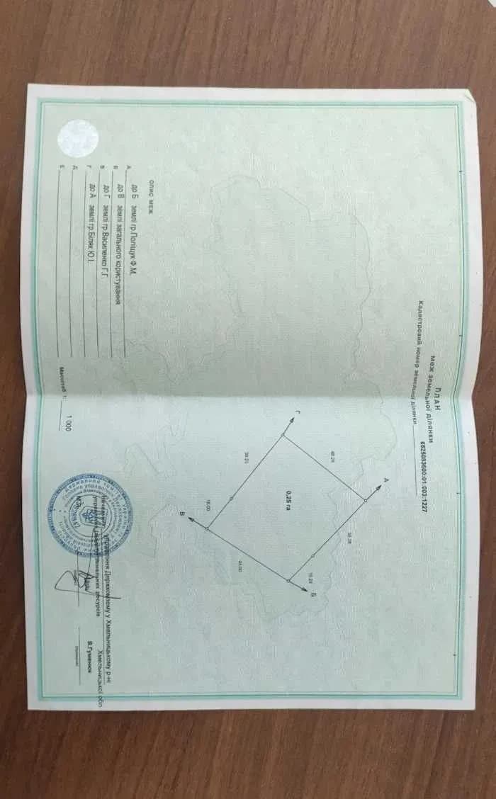 Ділянка 41 соток, Лісові Гринівці: можна викопати ставок - фото 4