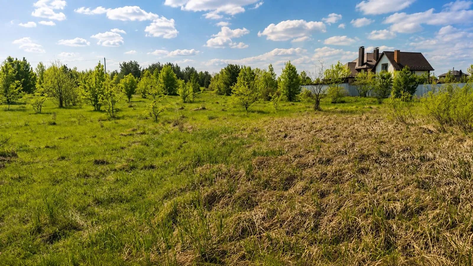Ділянка 32 соток, Кам’янка: власне озеро, 5 км до Житомира - фото 3