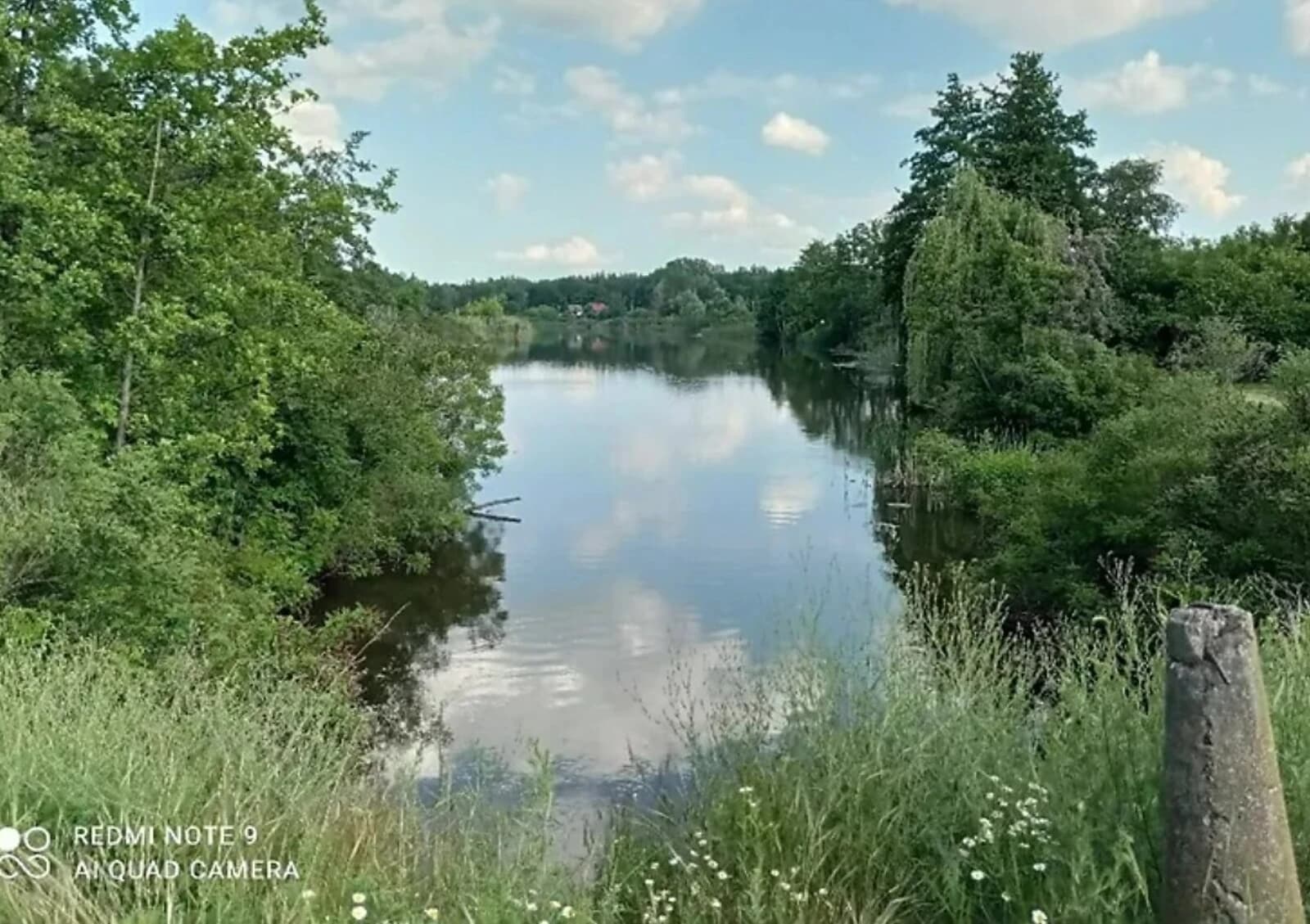 Ділянка 5.32 сотки, Мошни: свердловина, сад, фундамент - фото 5