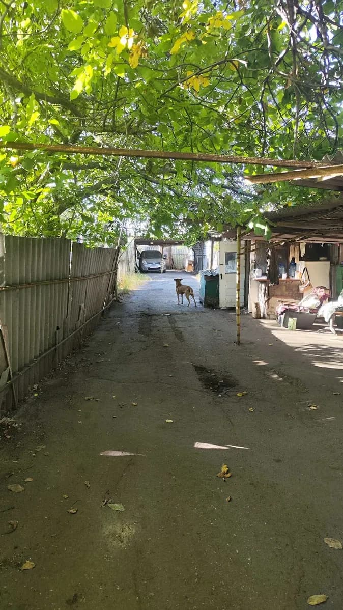 Паркомісце, Київський: охоронювана стоянка, довгострокова оренда - фото 3