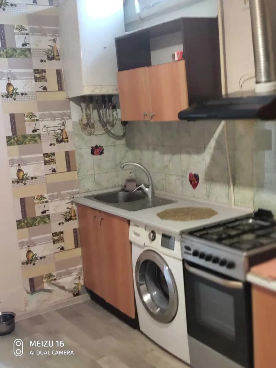 Чешка, Хаджибейський: можна з котиком, газове опалення - фото 5