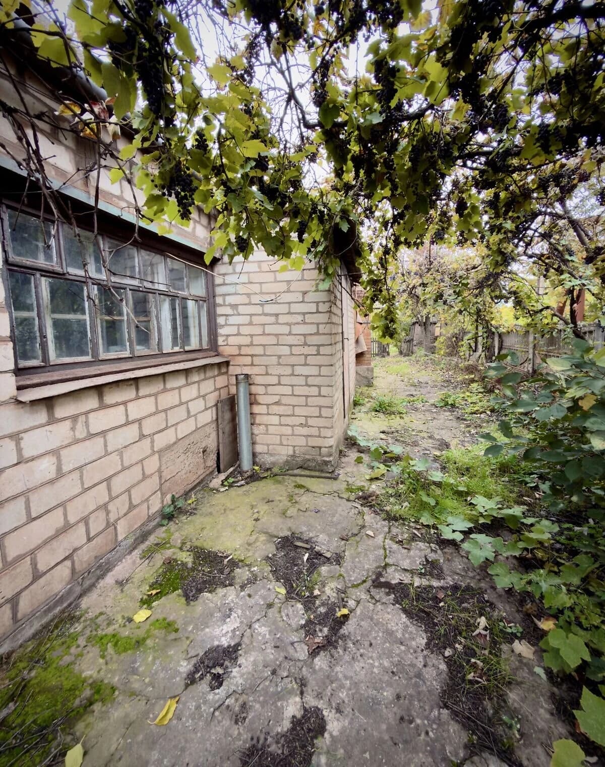 Будинок, Кривий Ріг: гараж, сад, цегляні стіни - фото 5