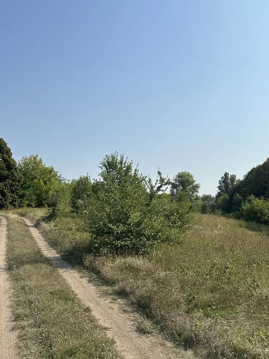 Ділянка 16 соток, Семенівка: 5 м до річки, ліс - фото 2