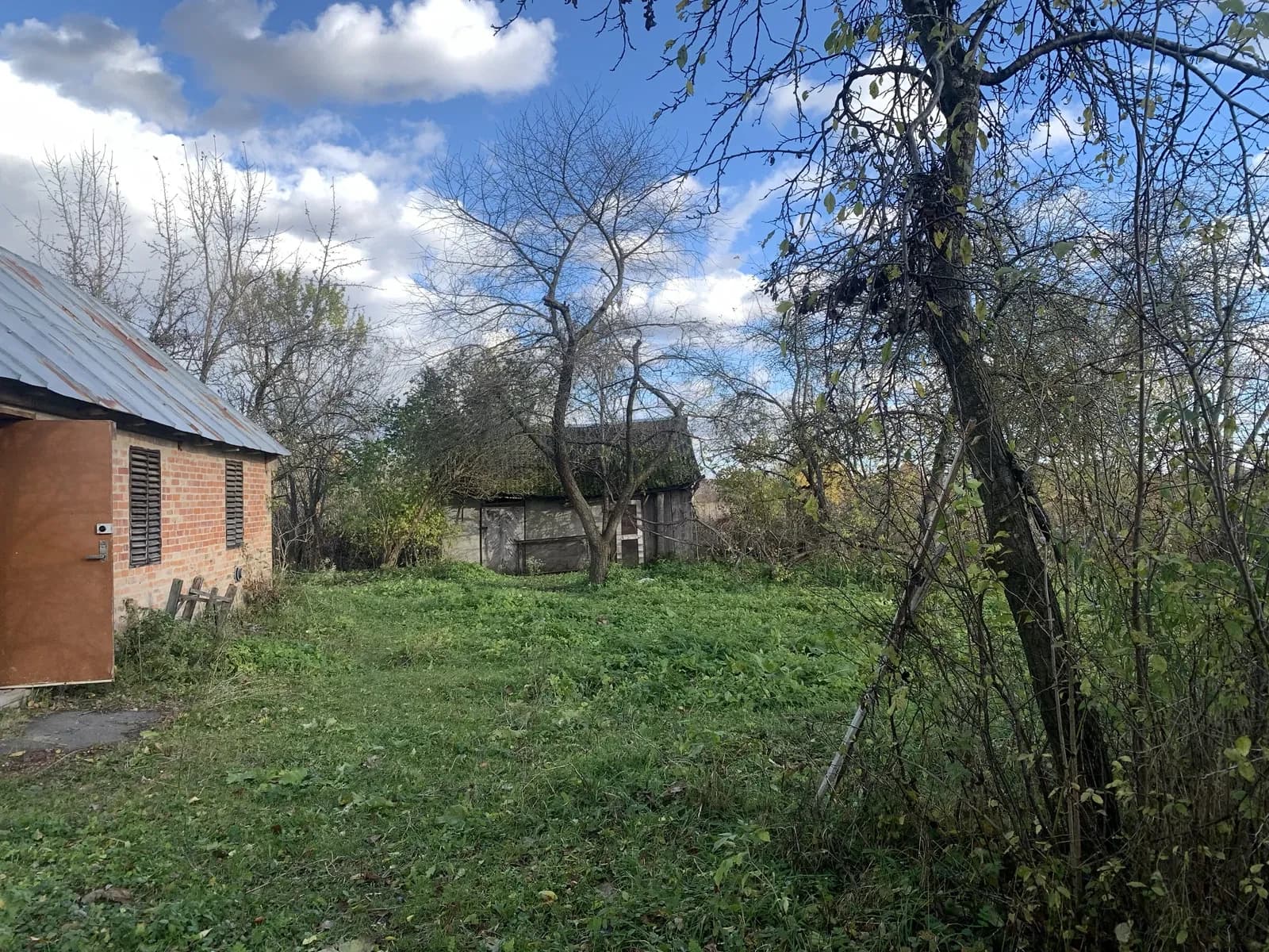 Дача, Товпжин: 20 соток, Хрінники за 2 км - фото 3