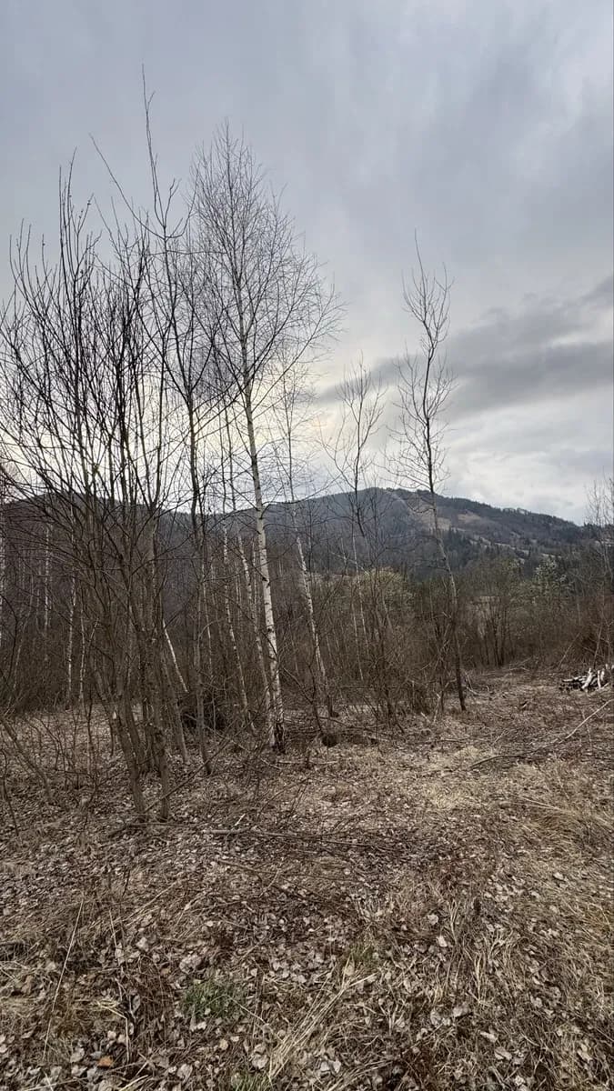 Ділянка 20 соток, Славське: дозвіл на будівництво, гора Тростян - фото 2