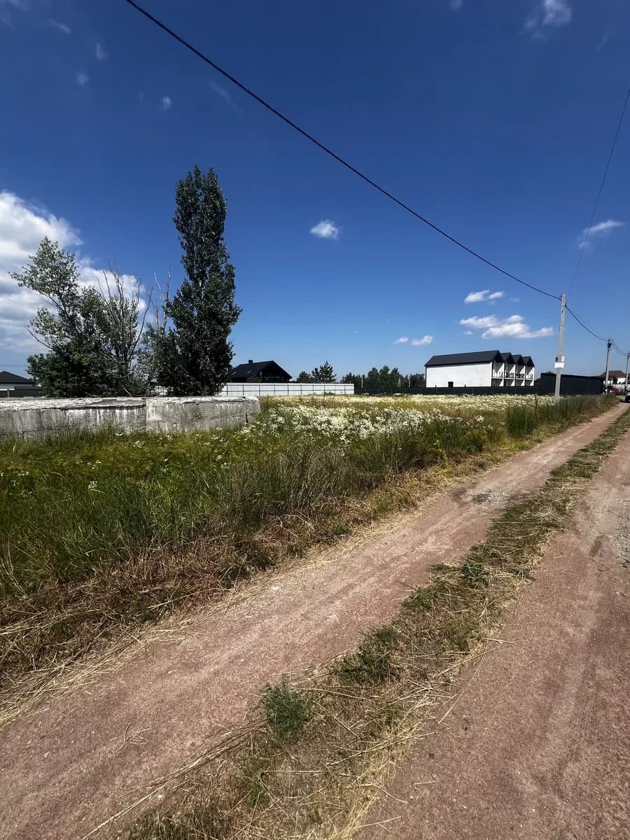 Ділянка 12 соток, Зазим’я: фундамент, електрика і газ - фото 3