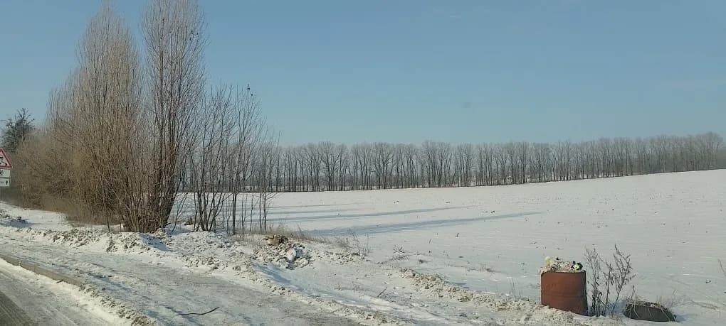 Ділянка 470 соток, Канів: під комерцію, фасадна біля дороги - фото 1