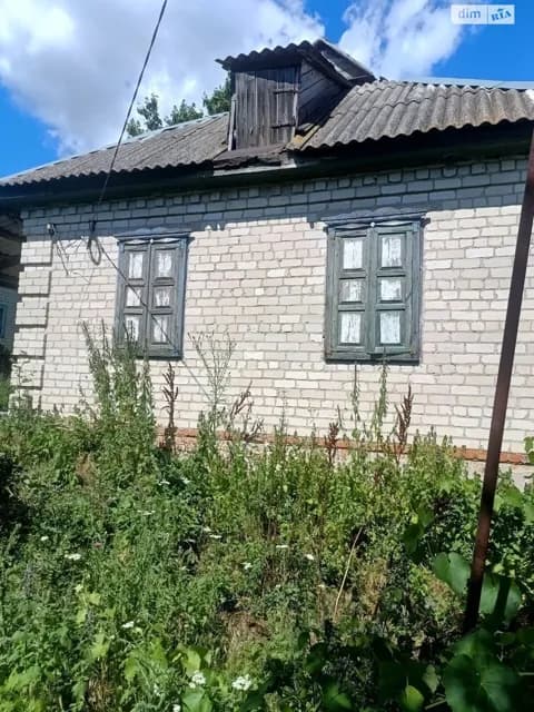 Будинок, Петрозагір’я: цегляні стіни, централізоване опалення - фото 4