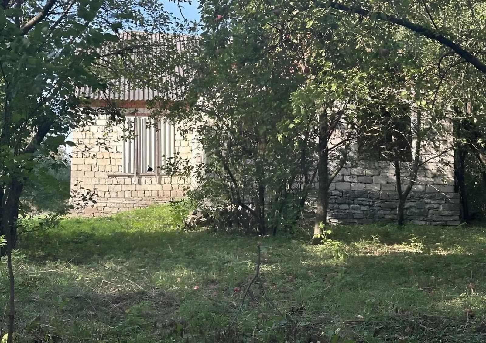 Будинок, Вільховець: ділянка 37 соток, господарські будівлі - фото 4