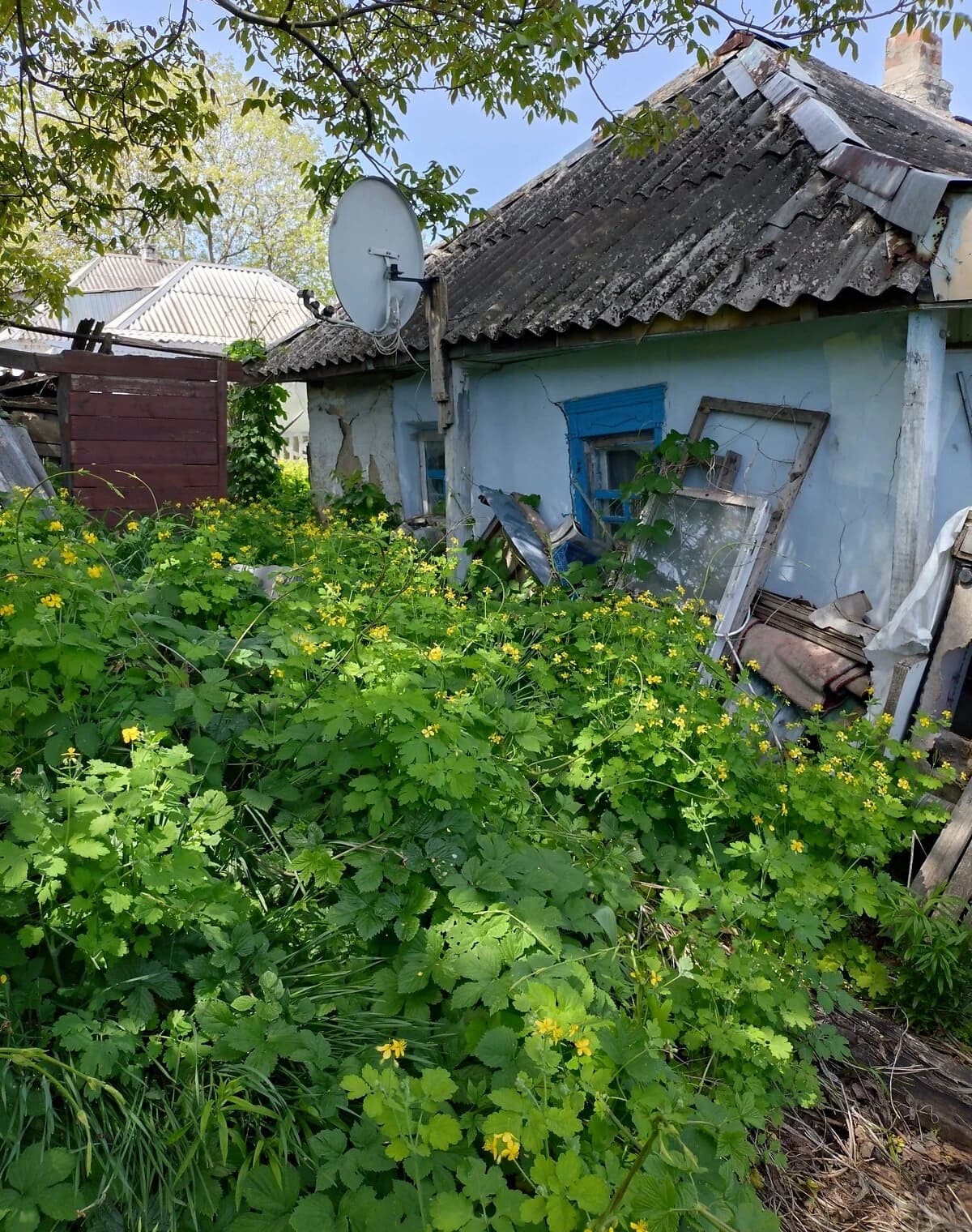Будинок, Діївка-2: ділянка 8.69 сотки, погріб, пічне опалення - фото 5