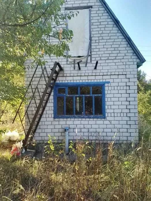 Дача, Світловодськ: 5 соток, ліс і річка поруч - фото 2