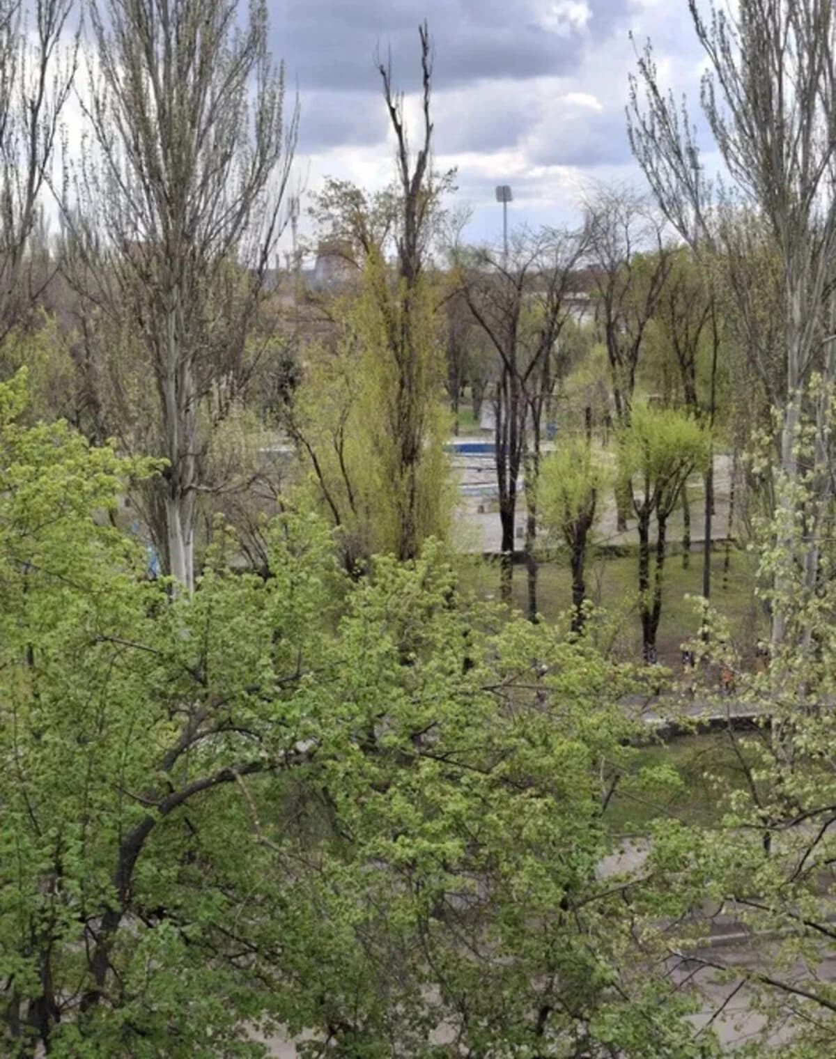 1-кімнатна квартира, Кривий Ріг: кухня-студія, балкон - фото 3
