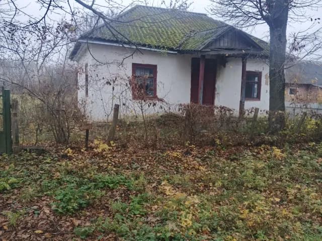 Ділянка 37.70 соток, Садове: перша лінія, електрика - фото 5