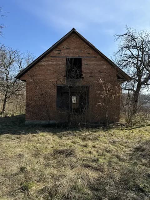 Ділянка 50 соток, Тячів: асфальтована дорога, будинок і туалет - фото 5