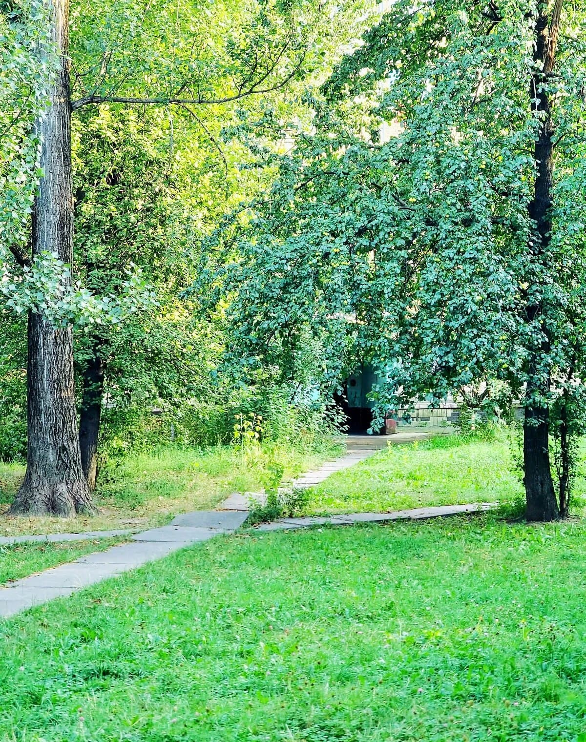 1-кімнатна квартира, Відрадний: метро Політехнічний інститут, бойлер - фото 4