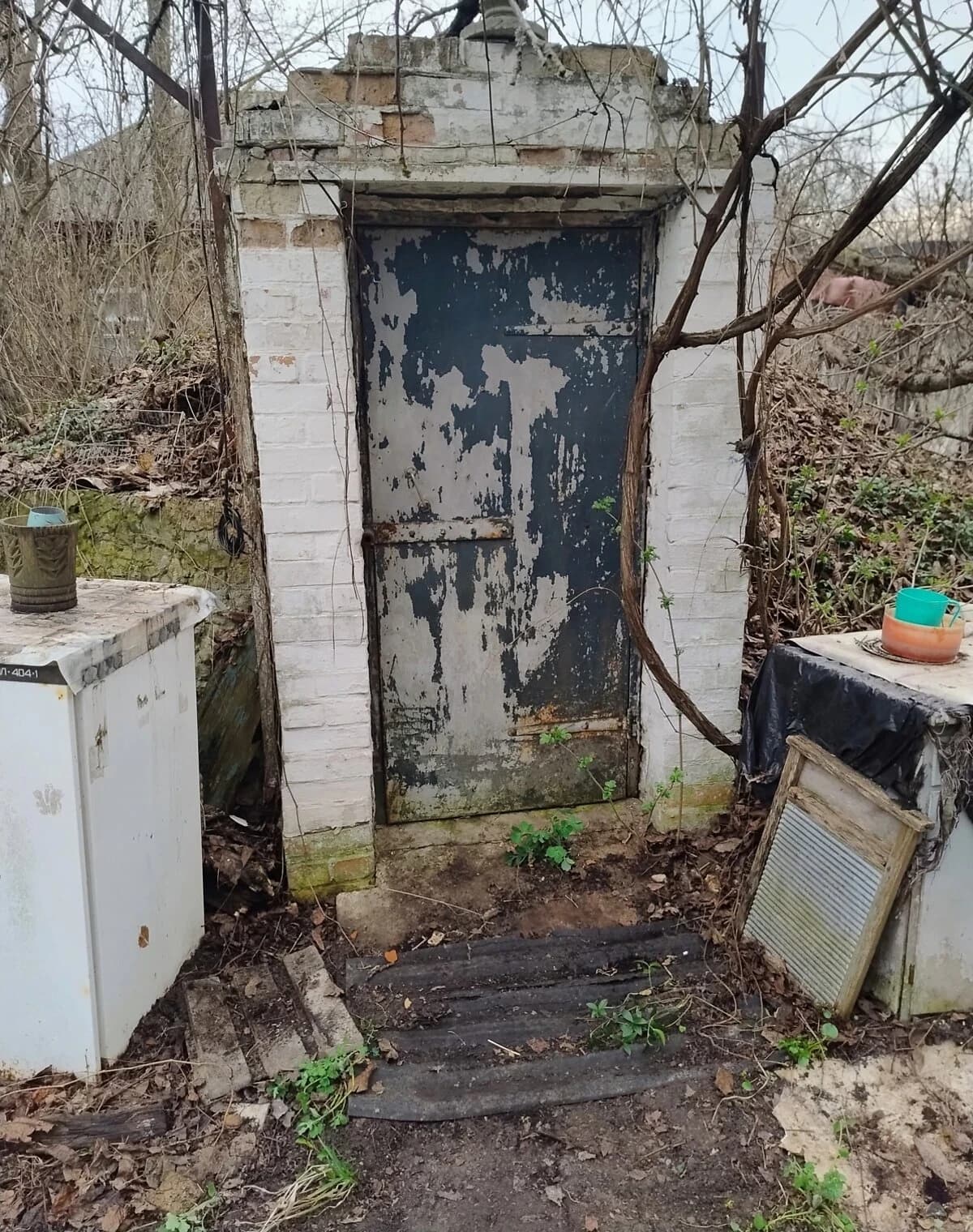 Дача, Володькова Дівиця: сад, город, погріб - фото 2