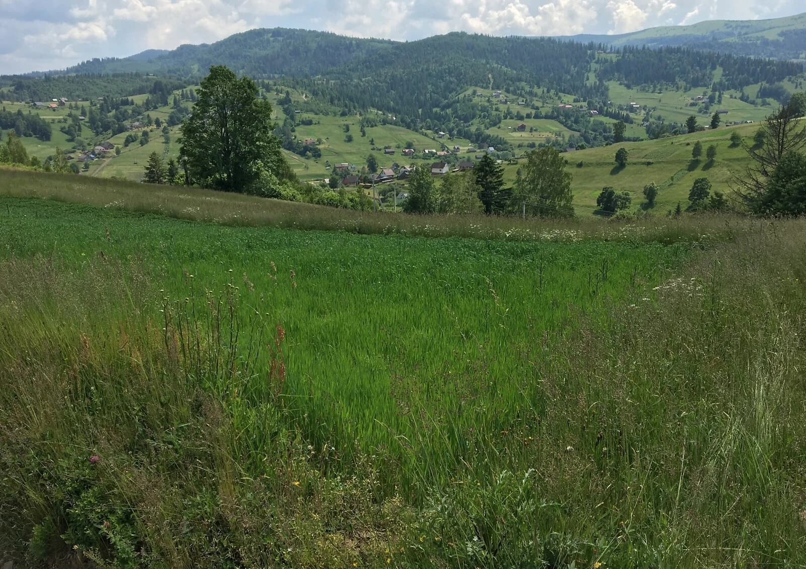 Ділянка 27.8 соток, Верхня Рожанка: під житлову забудову, біля гір