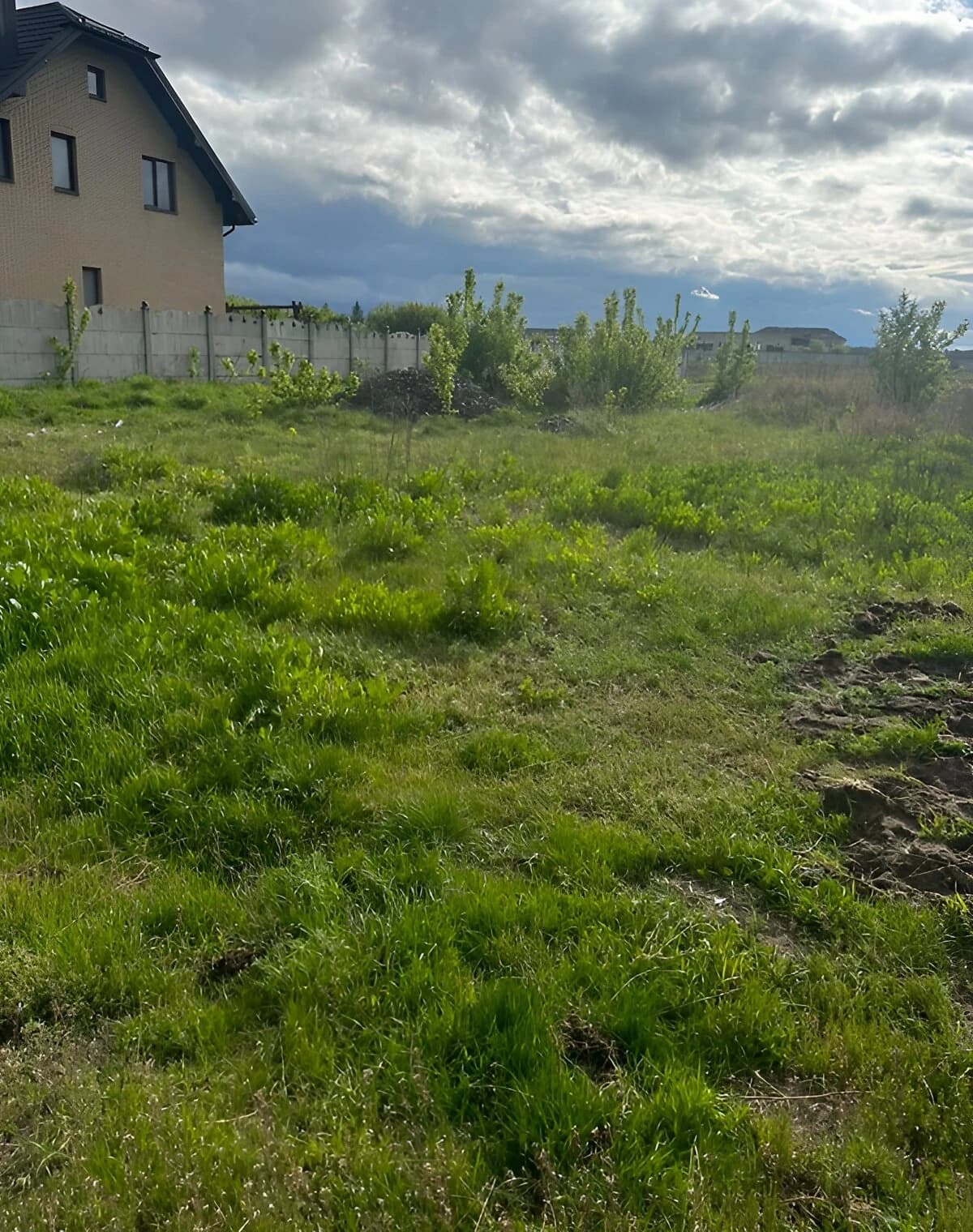 Ділянка 0.1191 га, Цумань: під житлову забудову, чорнозем - фото 1