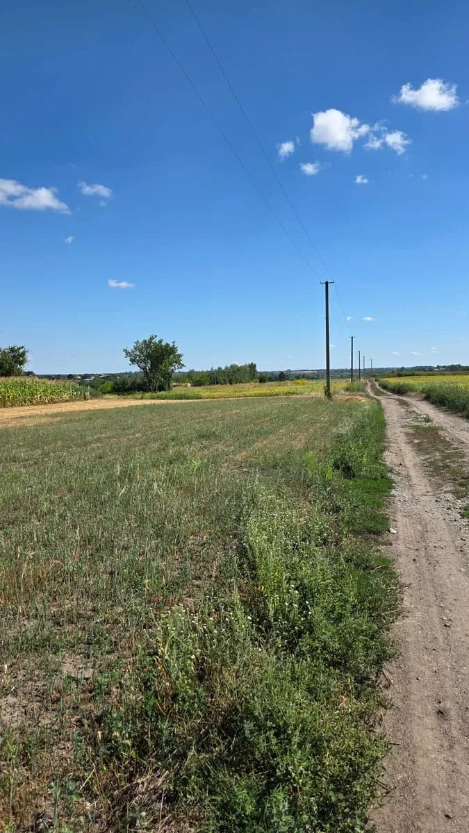Ділянка 14 соток, Велика Мотовилівка: під забудову, електрика - фото 3