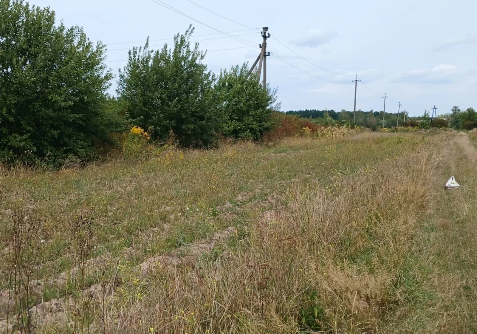 Ділянка 33.2 сотки, Угринів: електрика, рівнинна, торг - фото 4