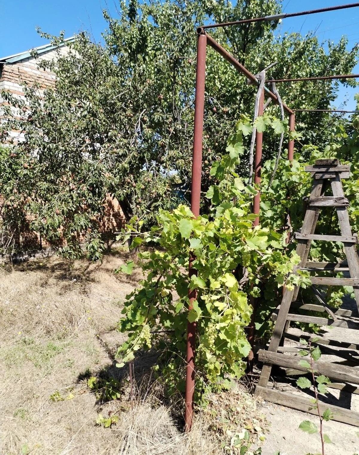 Будинок, Костянтинівка: дача, 4 сотки, поливна система - фото 2