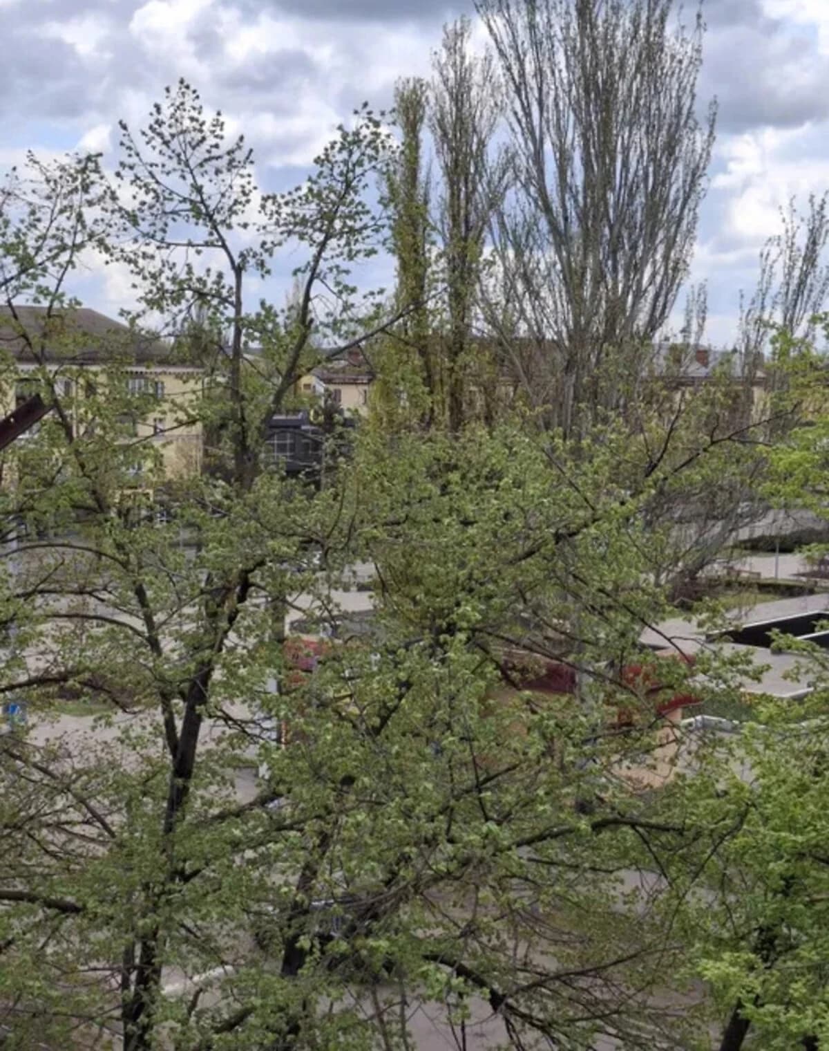 1-кімнатна квартира, Кривий Ріг: кухня-студія, балкон - фото 4