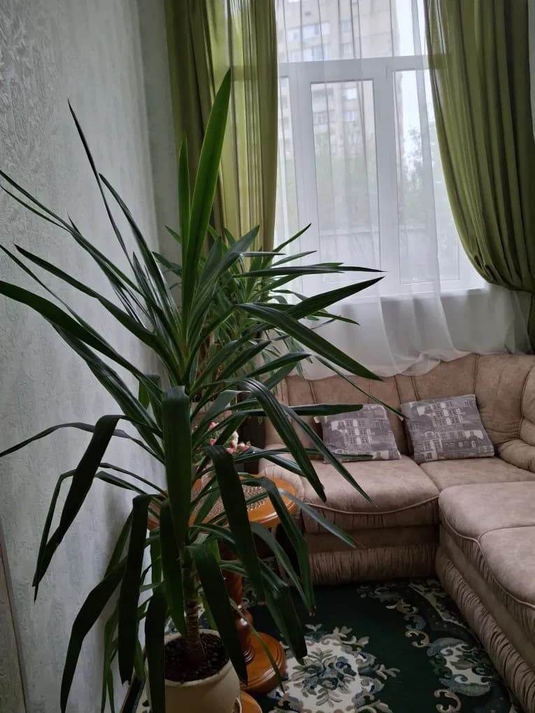 3-кімнатна квартира, Печерський: євроремонт, 4 кондиціонери, тераса - фото 4