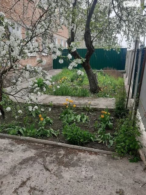 Частина будинку, Іванівка: баня, гараж, літня кухня - фото 4