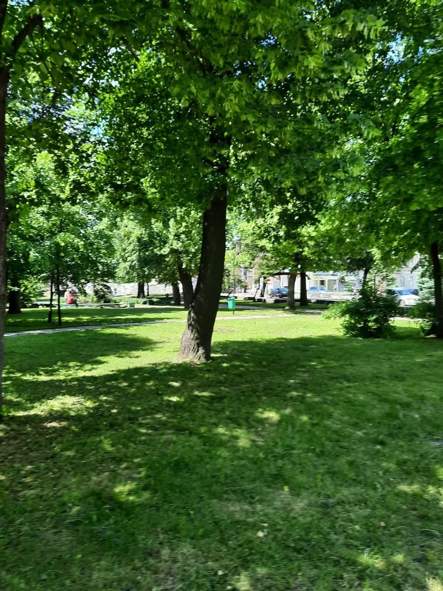 Приміщення, Поділ: окремий вихід, перший поверх - фото 4