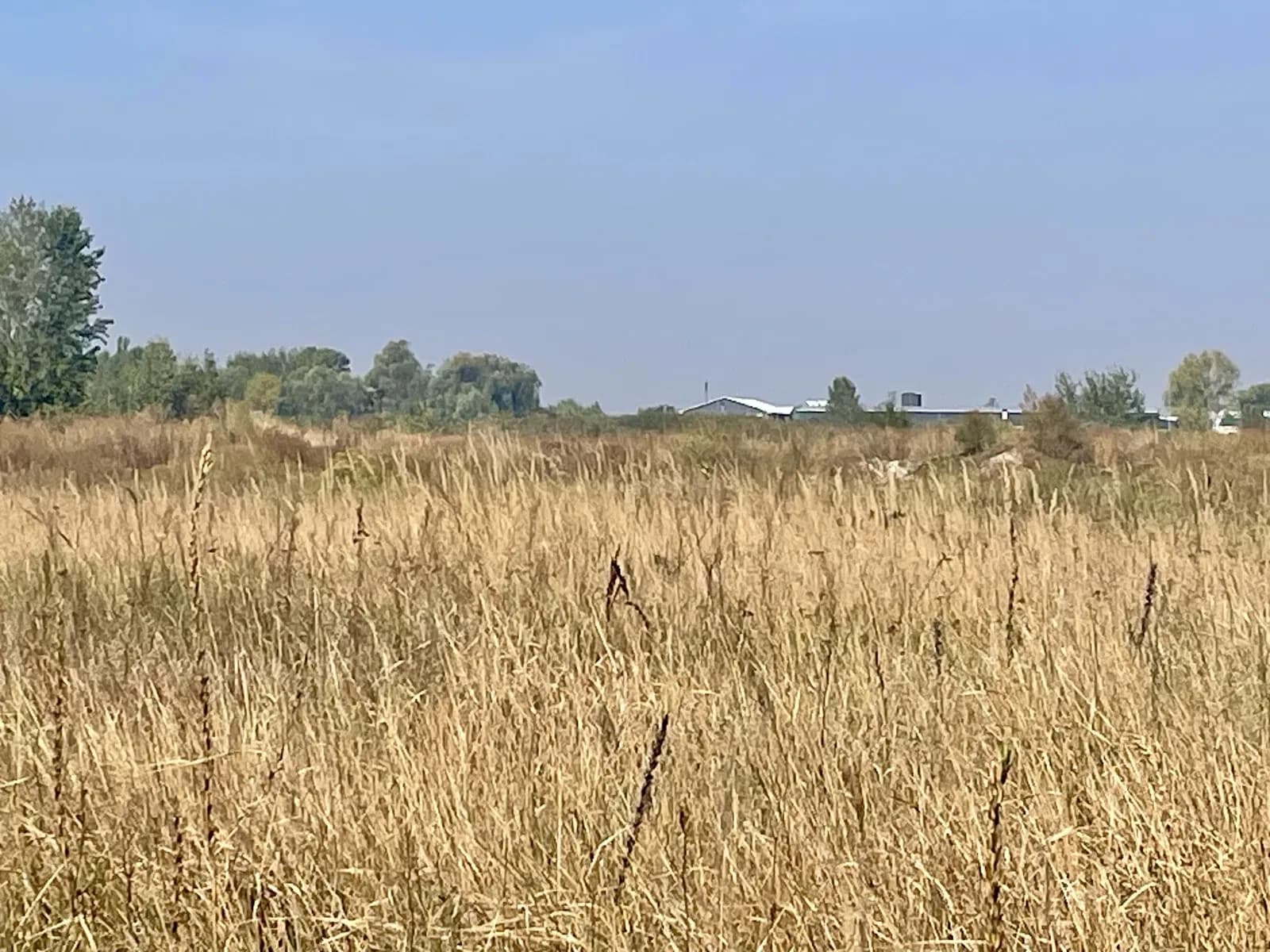Ділянка 39 соток, Погреби: 300 метрів до межі Києва, закінчується лісом - фото 5