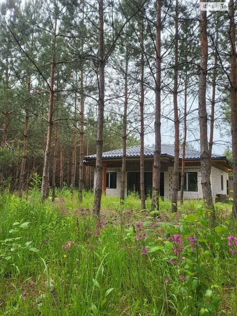 Будинок, Глеваха: газобетонні стіни, свердловина - фото 2