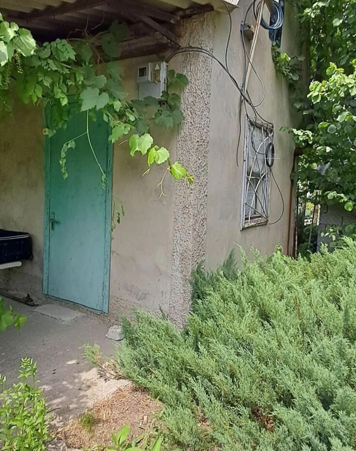 Будинок, Дніпровський: баня, літня кухня - фото 3