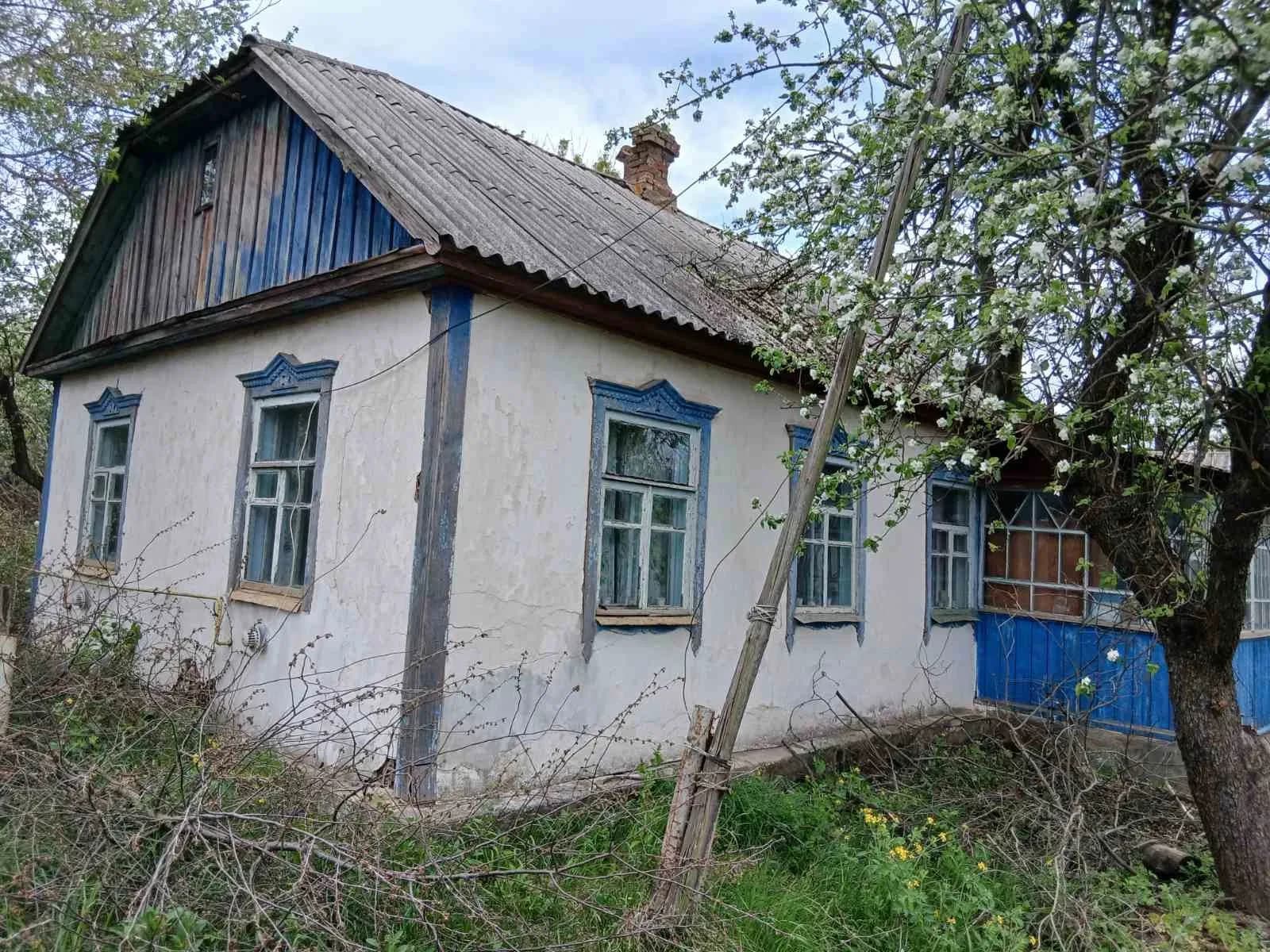 Будинок, Лишня: вид на ліс і водойму, 31 сотка - фото 2