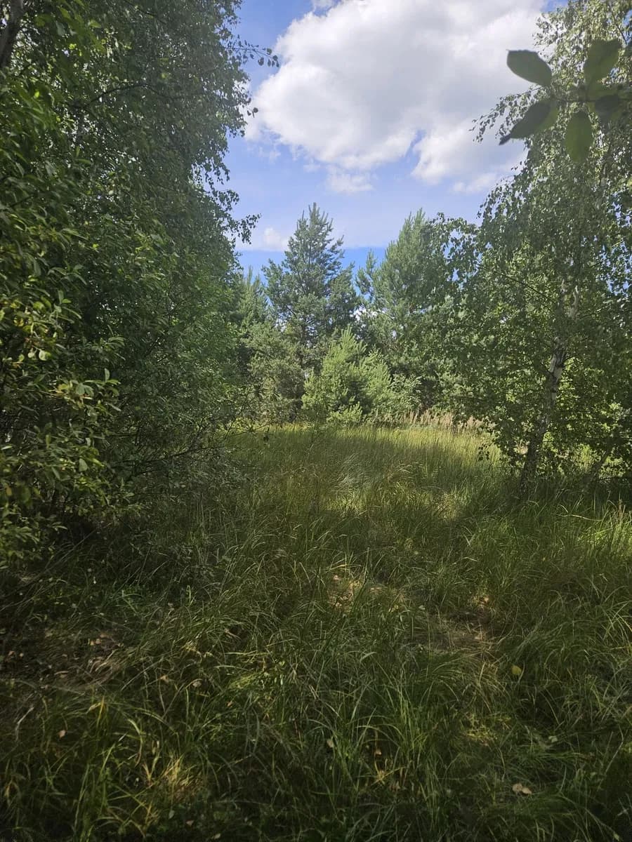 Ділянка 24 соток, Ніжиловичі: забудова в лісі, обмін на Київ - фото 3