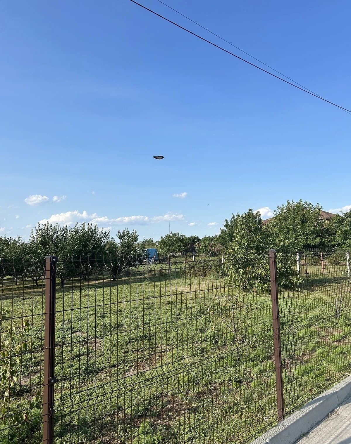 Ділянка 25 соток, Деріївка: під житлову забудову, електрика - фото 2
