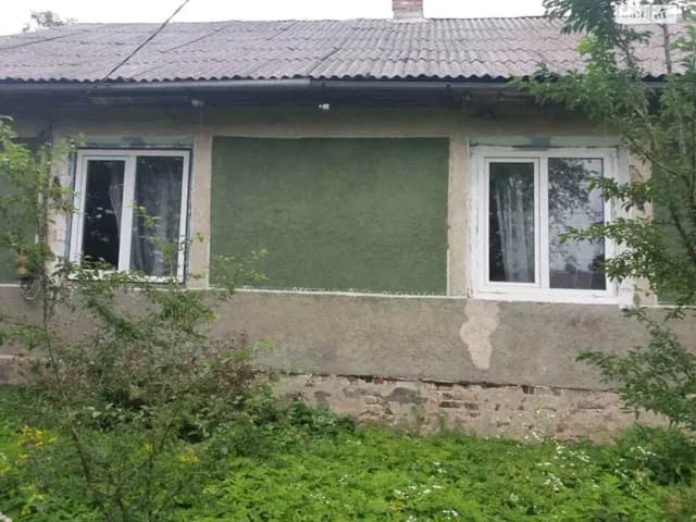 Будинок, Брищі: бесідка, свердловина, 66 соток - фото 2