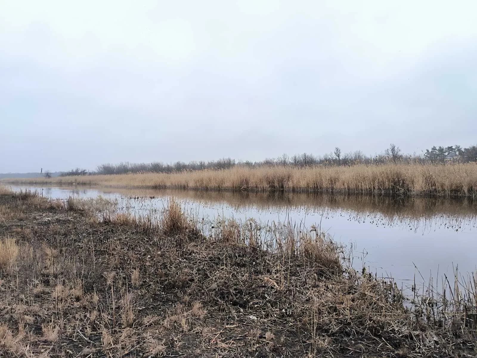 Ділянка 61 соток, Піщанка: перша лінія до річки, газ і електрика - фото 1