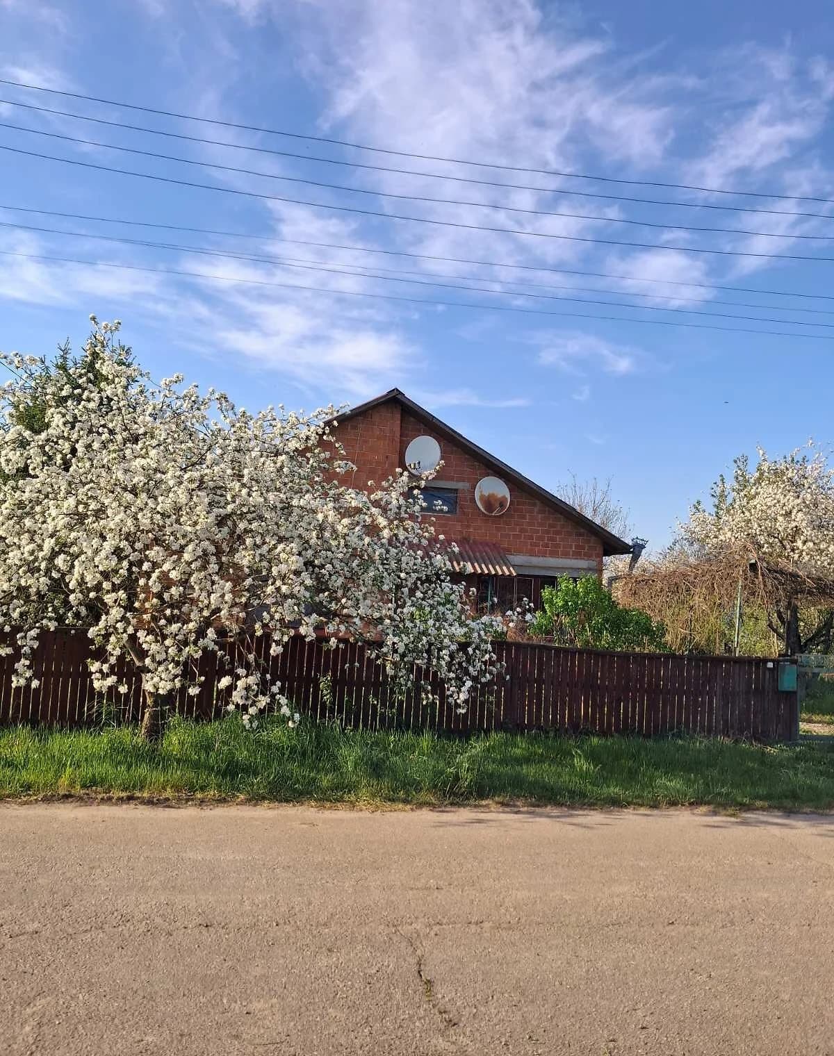 Будинок, Лазарівка: 60 соток, веранда, бесідка - фото 1